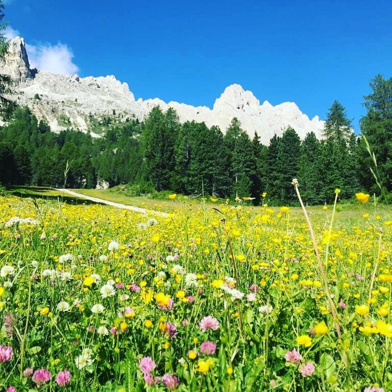 Apartamento Mountain Alleghe Exterior foto