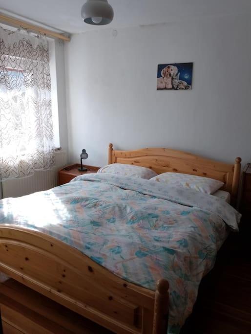 Apartamento Mountain Alleghe Exterior foto