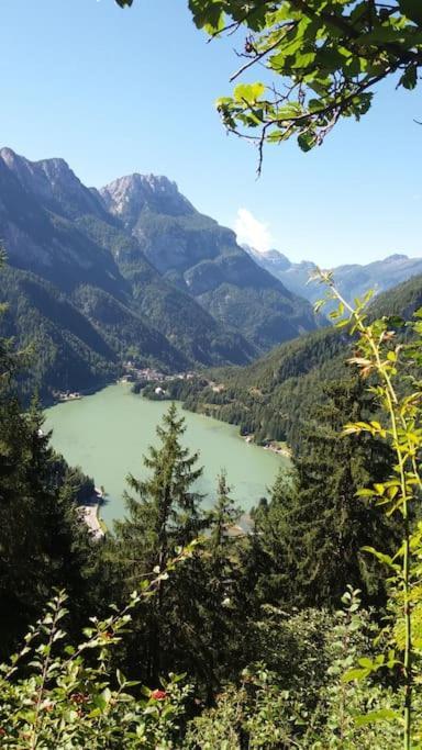 Apartamento Mountain Alleghe Exterior foto