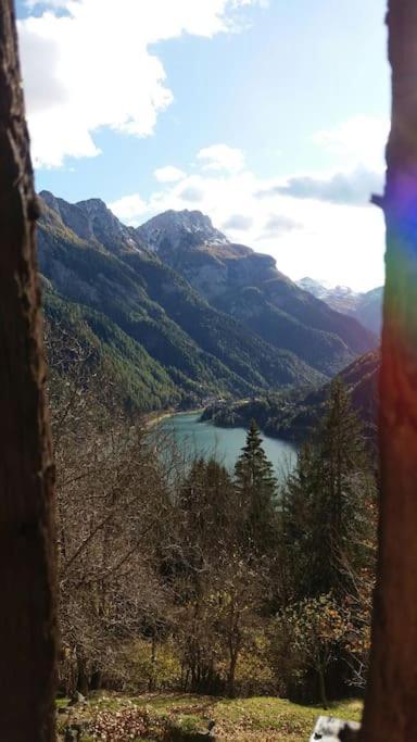 Apartamento Mountain Alleghe Exterior foto